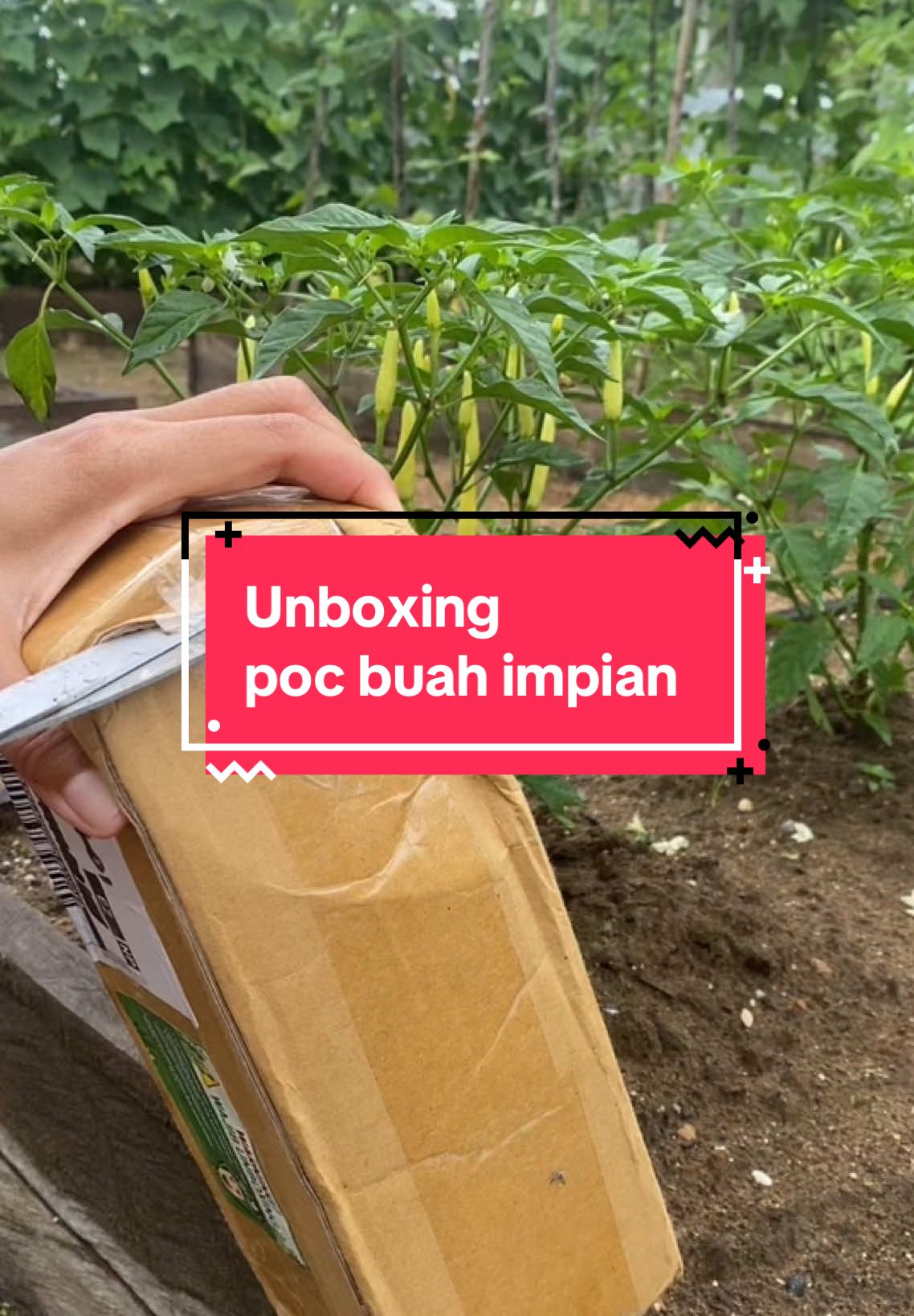 Unboxing paket pupuk organik cair  buah dari @infarm id siap bikin tanaman buah makin subur dan panen melimpah Yuk, kasih yang terbaik buat tanamanmu #infarm #infarmid #pocbuah #berkebun #mumtazgarden #berkebundirumahaja 