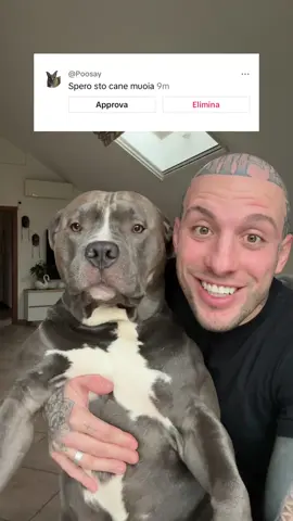 Lunga vita agli odiatori!! 