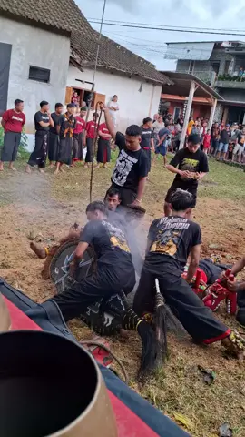 mode kalapan sif siangg #jarana #mahesojunggo #fyppppppppppppppppppppppp #MJSETORY #malangculturestyle 