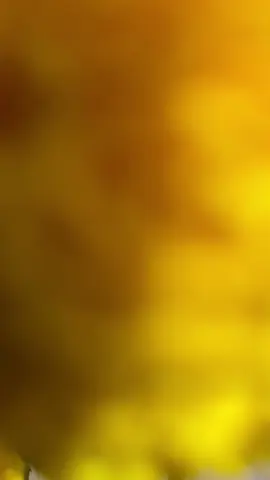 Sẵn sàng mai đón giao thừa thôi #hiepphuoc #longtho #newyear #newyear2025 