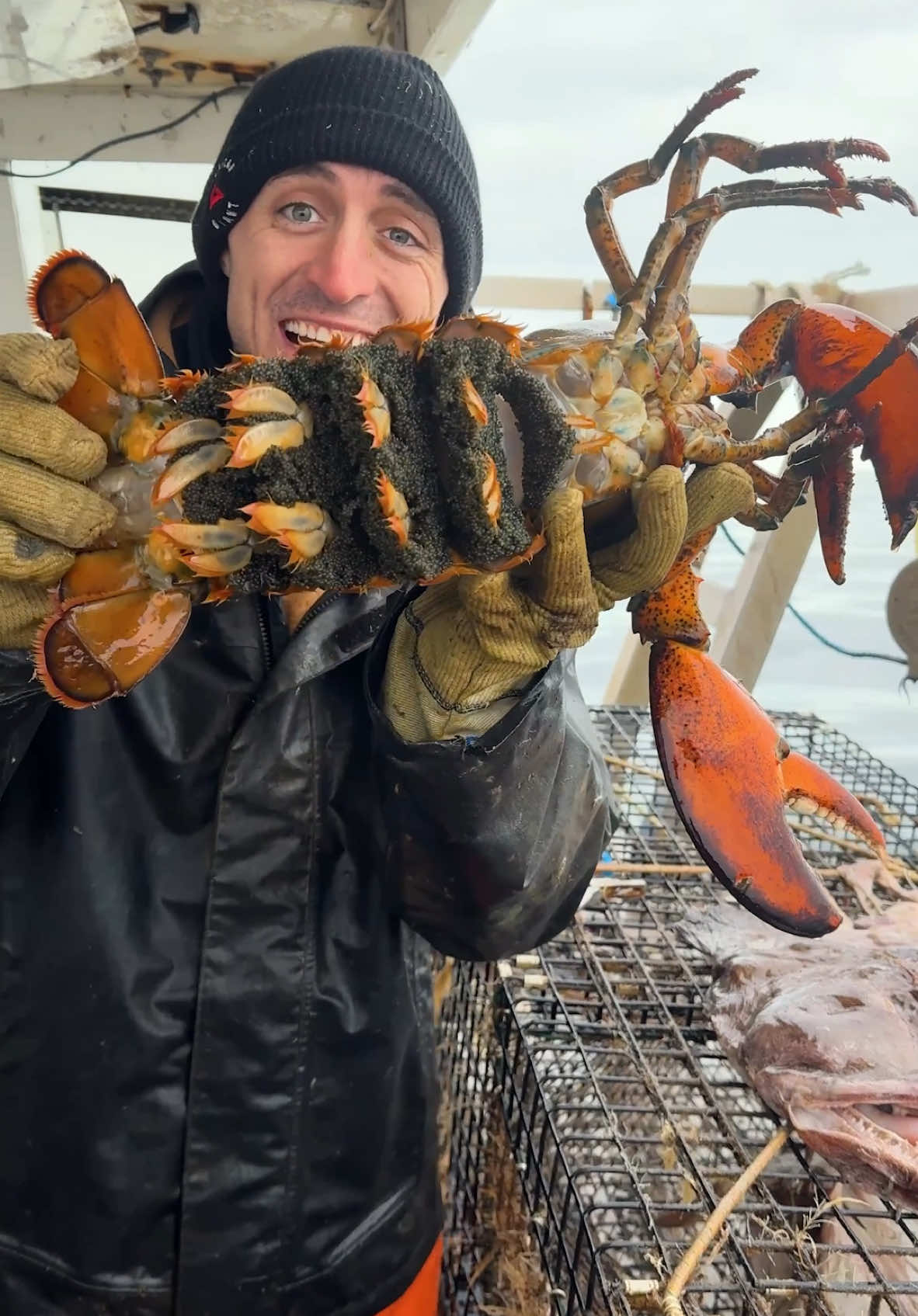 I have to sell my lobster boat! #maine #lobster #fishing #commercialfishing #seafood 