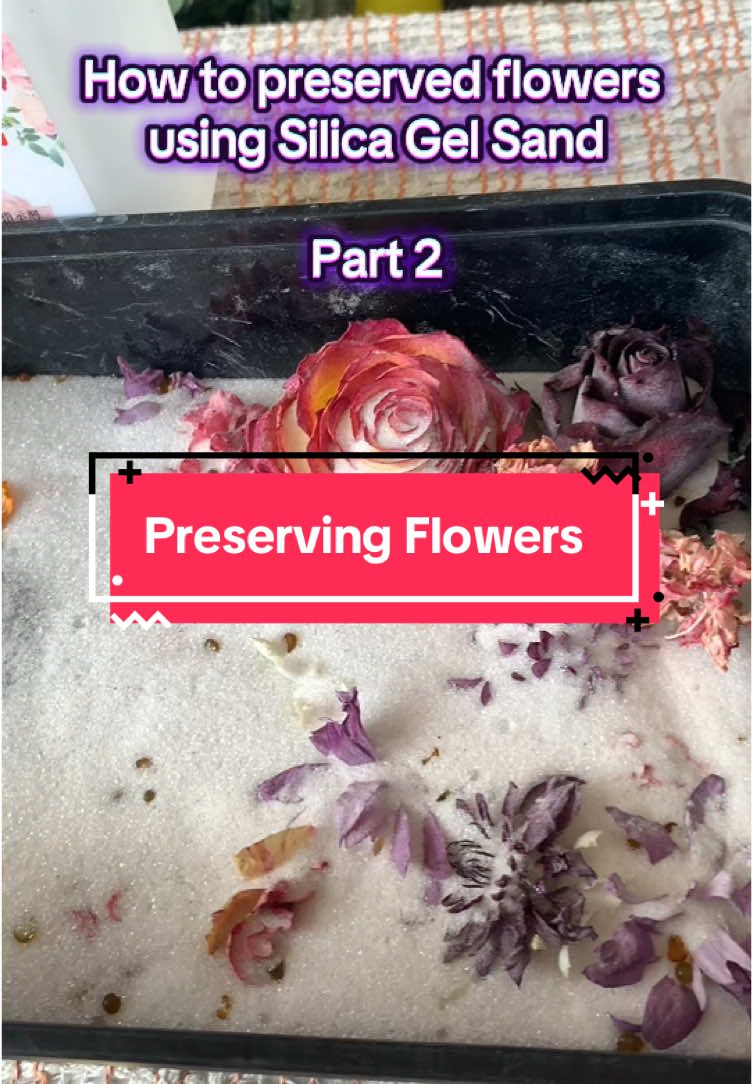 Ipreserve mo na yang bulaklak na bigay niya sayo para hindi masayang 🥰 Check my yellow basket 🥰 #flowers #decoration #decor #howtopreserveflowers #preservingflowers #flowersthatlastforever #fylppppppppppppp #silicagel #Love #engaged #flowers🌼🍁🌸 #buynow #driedflowers 