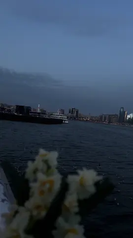 #fypシ゚#🌊 
