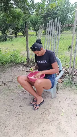 não deu certo 😂