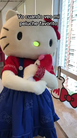 ¿Tú también tiene un peluche favorito? ❤️ #sanrio #sanriocore #hellokittycore 
