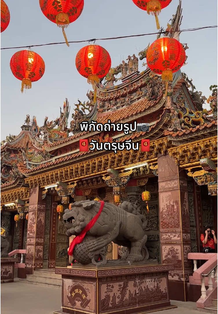 🧧พิกัดถ่ายรูป ตรุษจีน  🧧📷เริ่มเปิดไฟให้เข้าถ่ายรูปได้ตั้งเเต่วันที่ 25 ม.ค.-23 ก.พ.2568  งานประจำปี งานโคมไฟมี ตั้งแต่วันที่ 8-23 กุมภาพันธ์ 2568 พิกัด :: มูลนิธิธรรมกตัญญู ซอยเทศบาลบางปู 65 บนถนนสุขุมวิทสายเก่า (กม.33) หรือเลยเมืองโบราณไปเพียง 400 เมตร🚘🚗เดินทางด้วยรถไฟฟ้าได้คะ ลงสถานที เคหะบางปู 🚆 #ศาลเจ้าธรรมกตัญญูจังหวัดสมุทรปราการ #บางปู #งานโคมไฟบางปู #ศาลเจ้า #ฟีดดดシ #เพลงจีน 