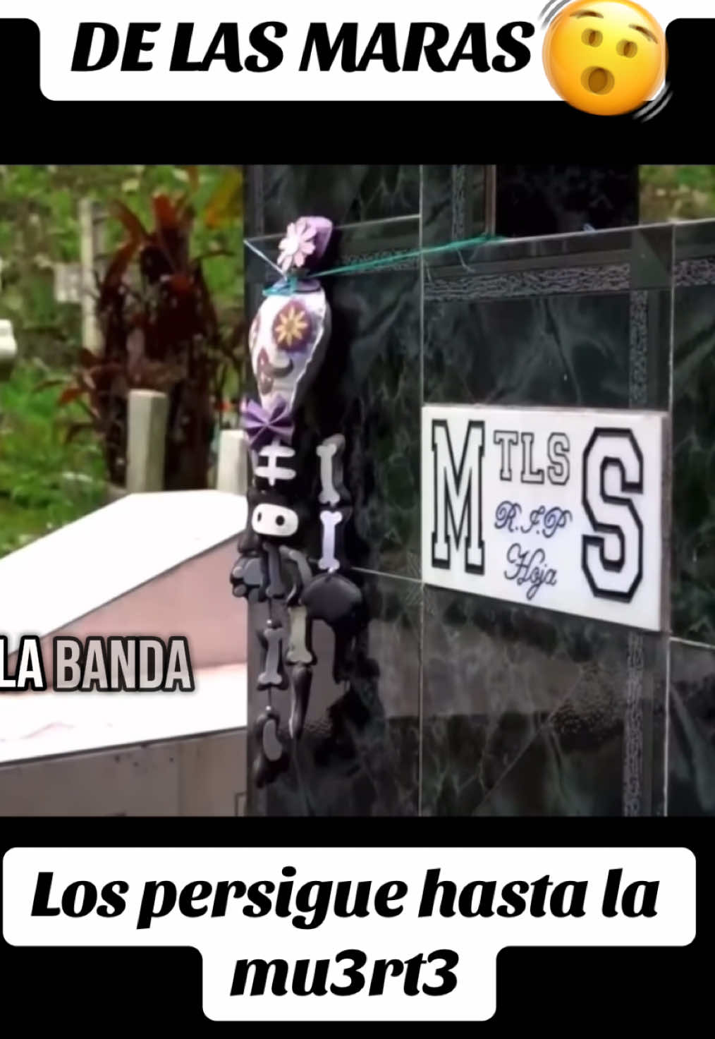 Las tumbas de las maras fueron destrozadas por Bukele 🤔