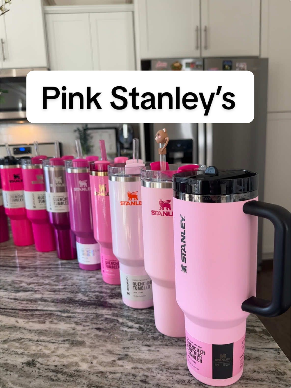 The pinks 💕💖 #fyp #fypシ゚viral #viral #StanleyCup #pink #stanley #new #newstanley #pinkstanley #cherryblossom #glinda #pinkparade #messi #rosepetal #trending #dsg @Stanley Brand 