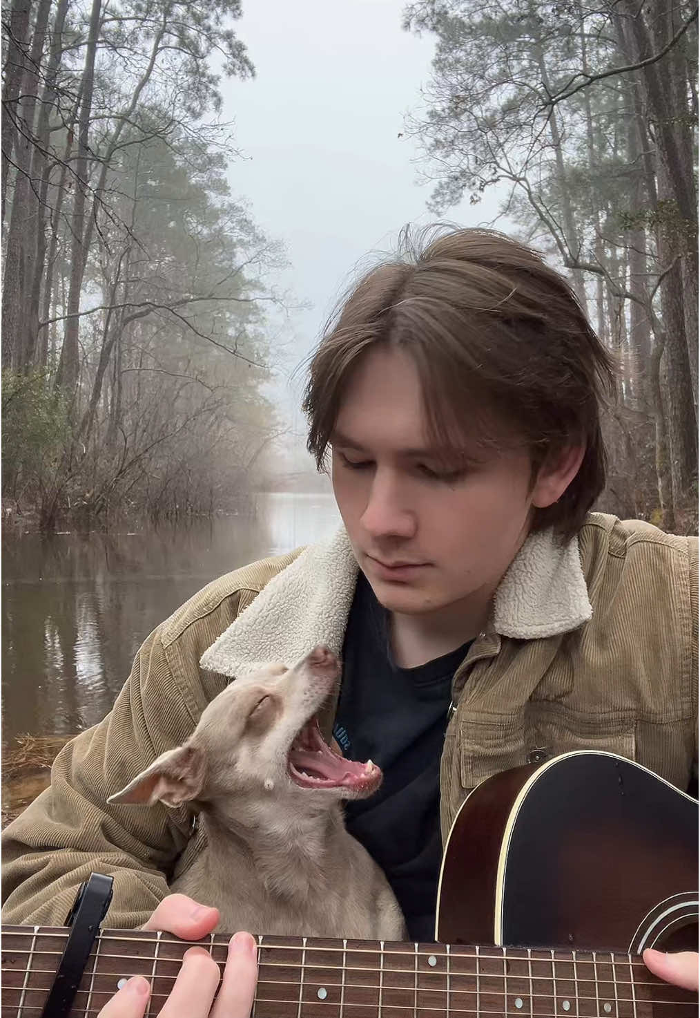 Misty mornings- by Sammy Seppanen(that me yo) #fyp #guitar #originalmusic #nature #noahkahan #joemama 