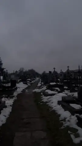Фон, кладбище (берите кому надо)#щп 