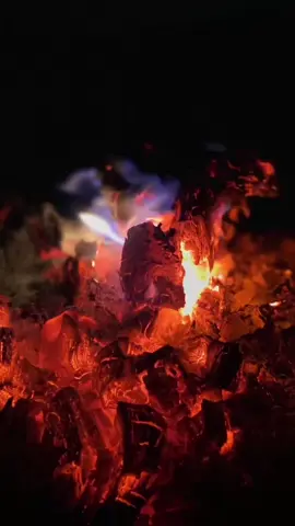 #تصويري📷 #اكسبلور #اكسبلورexplore #تصميمي #تعليقاتكم_لايك_كومينت_اكسبلور #شعراء_وذواقين_الشعر_الشعبي🎸 #شيلات #الباحة_الجنوب #الطائف #سجات#fyp #foryou 