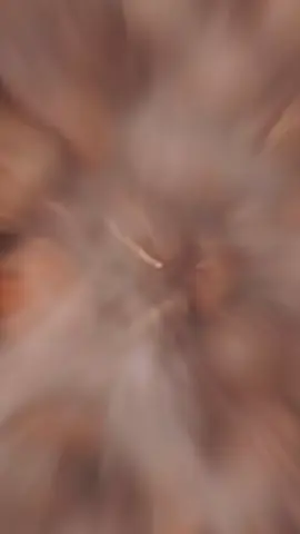 البنُ في عينيكِ يغلبُ قهوتي 🤎🎙️ #fyp #CapCut  #شعر #شعروقصايد #البن #your_coffee #شعراء_وذواقين_الشعر_الشعبي #شعراء #شعراء #قصايد_شعر_خواطر #اقتباسات #خواطر #تصميمي #تصميم_فيديوهات🎶🎤🎬 #فصحى #ادب #مصر🇪🇬 #الشعب_الصيني_ماله_حل😂😂 