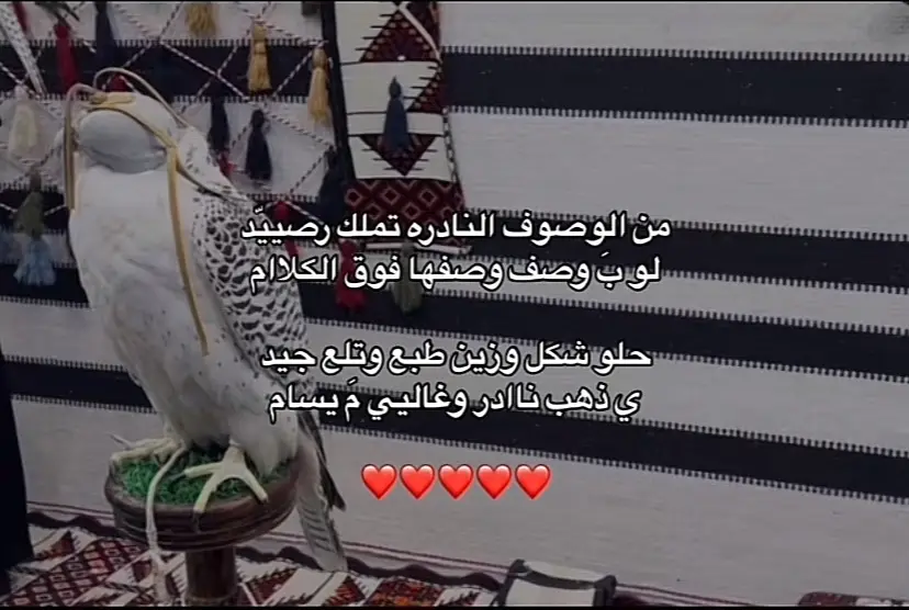 🌷💙#مالي_خلق_احط_هاشتاقات #explorerpage #fypシ #fyp #ابوخالد #اكسبلور #explore #tiktok #greenscreen #TikTokAwards #foryou 