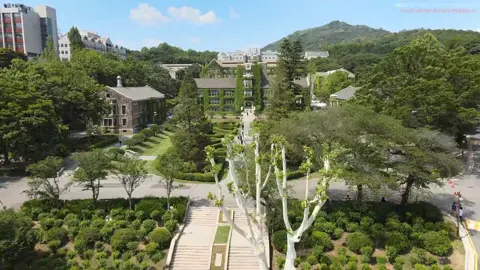 Yonsei University from a bird's eye view💙🦅 #yonseiuniversity #yonsei #students #student #University #dream #korea #SouthKorea #🦅 #💙 #🇰🇷  #연세대학교 #연세대 #학생 #대학교 #꿈 #한국 #대한민국 #추천 #추천떠라 #추천추천추천추천추천추천추천추천추천추천 #fyp #travel #traveltiktok 