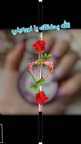 #CapCut #ابني_نور_عيوني #💜💜💜 #محمد #🤍🤍🤍 #تصميم_فيديوهات🎶🎤🎬 