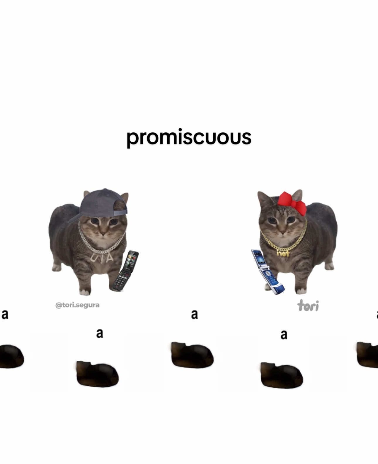 Wherever u a 🗣️🗣️ @Ethel the OIIA Cat ✨ OIIA Cat x Promiscuous by Nelly Furtado & Timbaland #cats #lyrics #promiscuous #nellyfurtado #fyp #foryou 