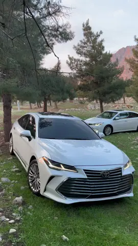 #avalon #ماشاء_الله_تبارك_الله #avalon2022 #ranyakam #zankoy_raparin #rasty_lak #foryoupage #foryou #fyp 