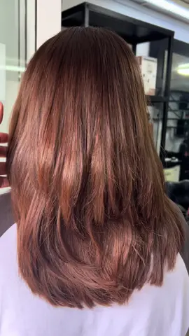 It’s giving Blair Waldorf hair color,  Chestnut brown with a tint of gold  #gossipgirl #blairwaldorfhair #queenB  #ascoiffure #rosehill #mauritius 