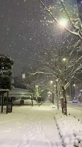 눈. #눈 #snow #korea4k 