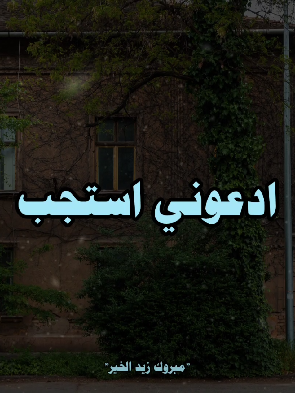 يارب اجب دعائي انني متضرر 🤍🥺 #مبروك_زيد_الخير 