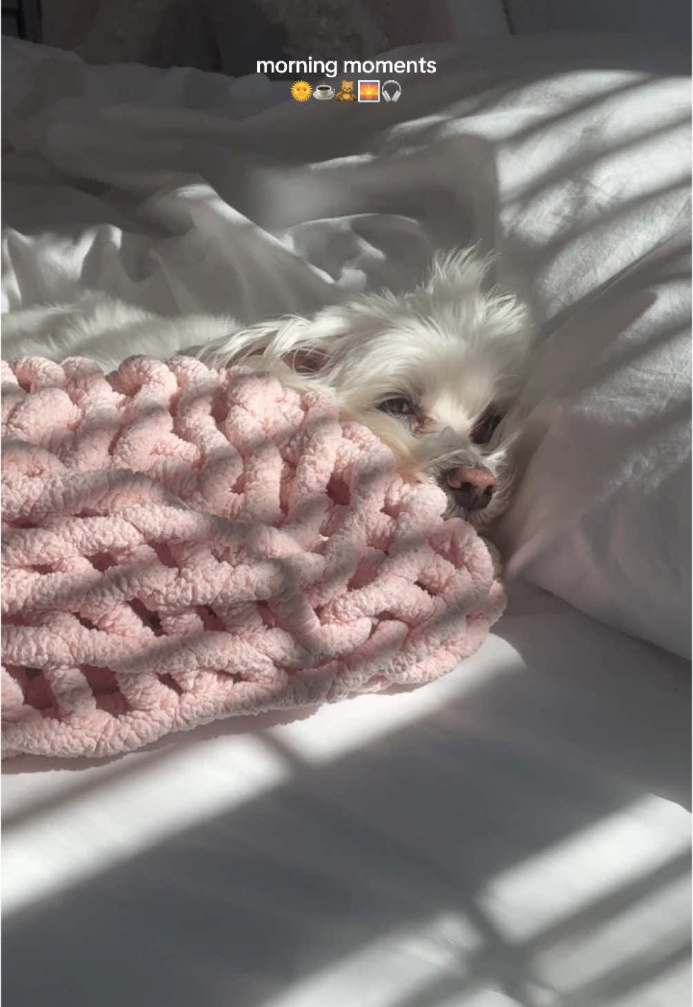 mornings like this make me excited to get out of bed🌞🧸☕️🌅🎧 FINALLY starting to feel better & getting back in a routine after being sick last week🧡 #fyp #morningvlog #Vlog #dailyvlog #morningroutine #gradstudent #microinfluencer #michigan #postgrad #postgraddiml #diml #dayinmylife 