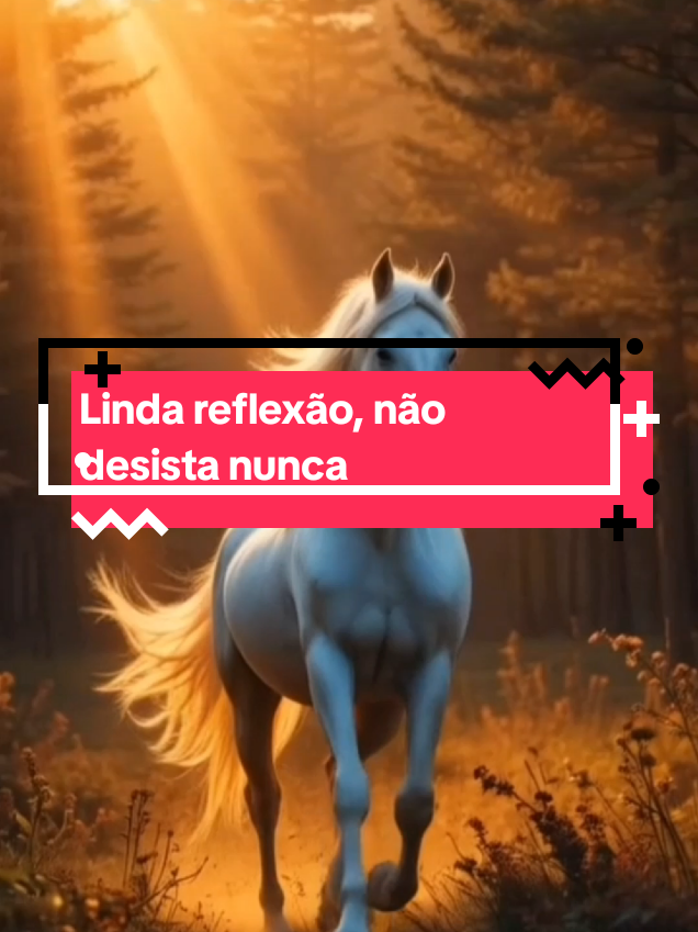linda reflexão, não desista nunca #reflexão #motivação #humildade 