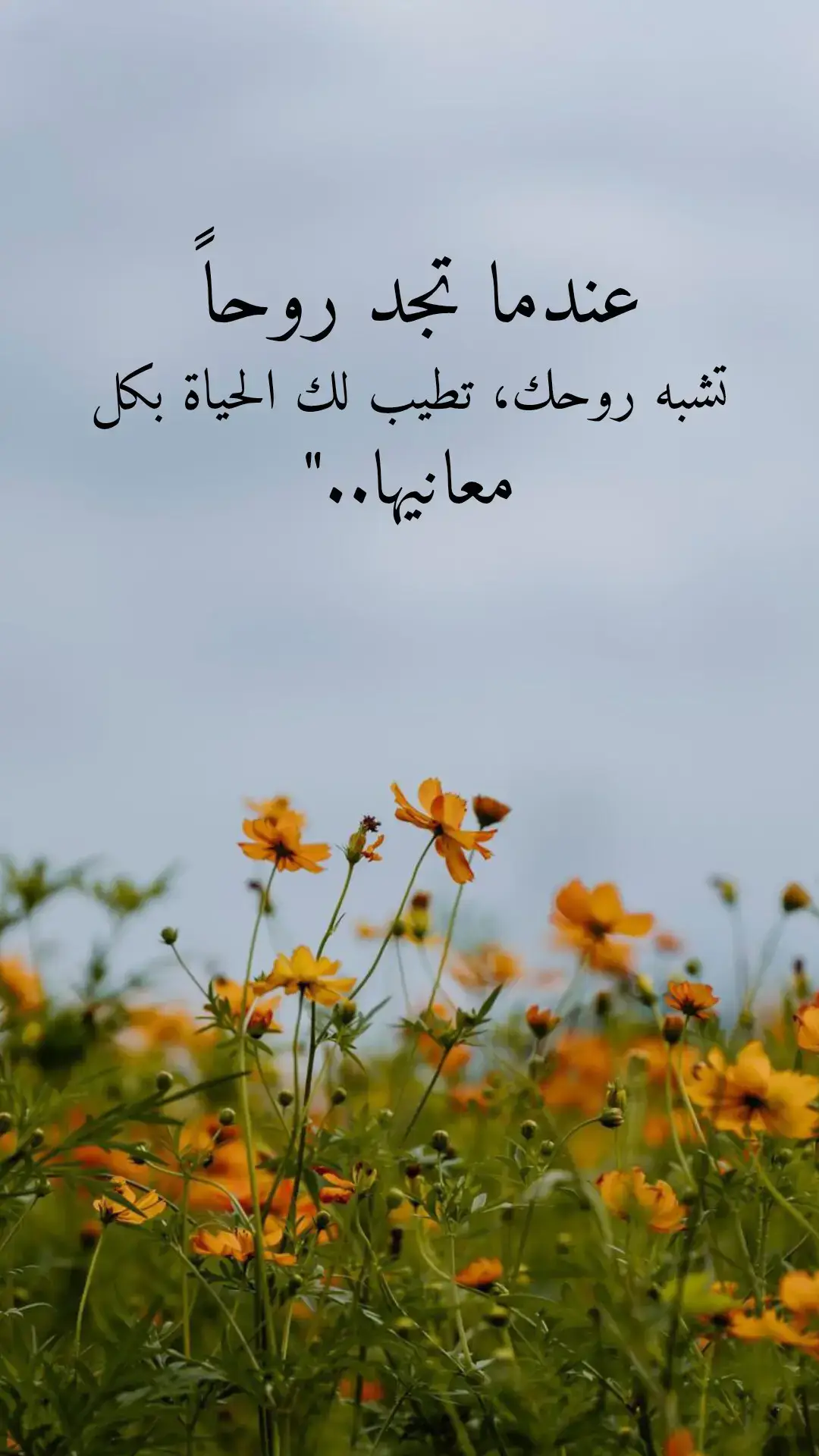 #خواطر #اقتباسات 