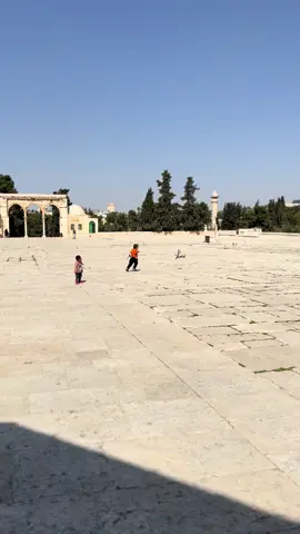 children playing in al-aqsa 🫶🏻 #palestine #alquds 