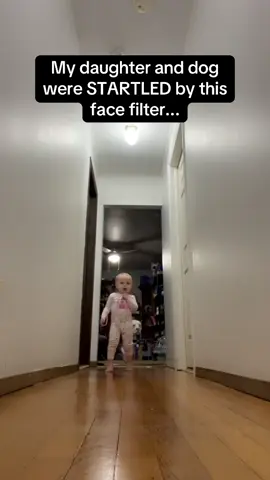 Doggo really noped out in the end 🤣🤣 #RoadTo17Million #Pubity  (Tiffany Tate via ViralHog)