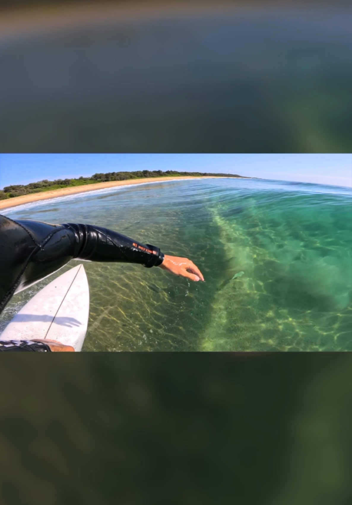 Surfing with the Fishies 💎 #surftok #surfing #satisfying