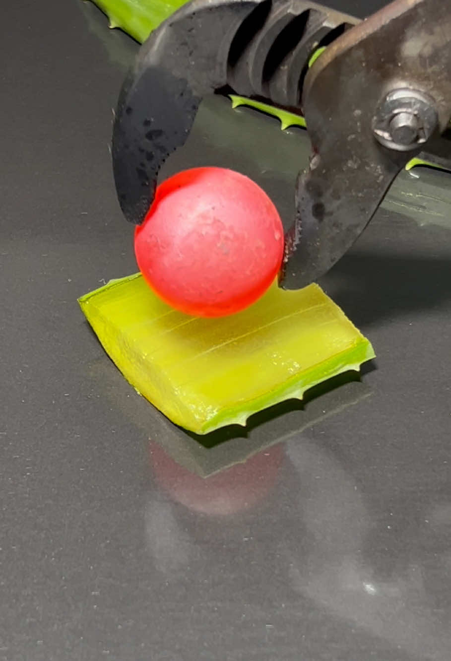 Red Hot Ball vs Aloe vera 😱 #tiktok #asmr #foryou #usa🇺🇸 