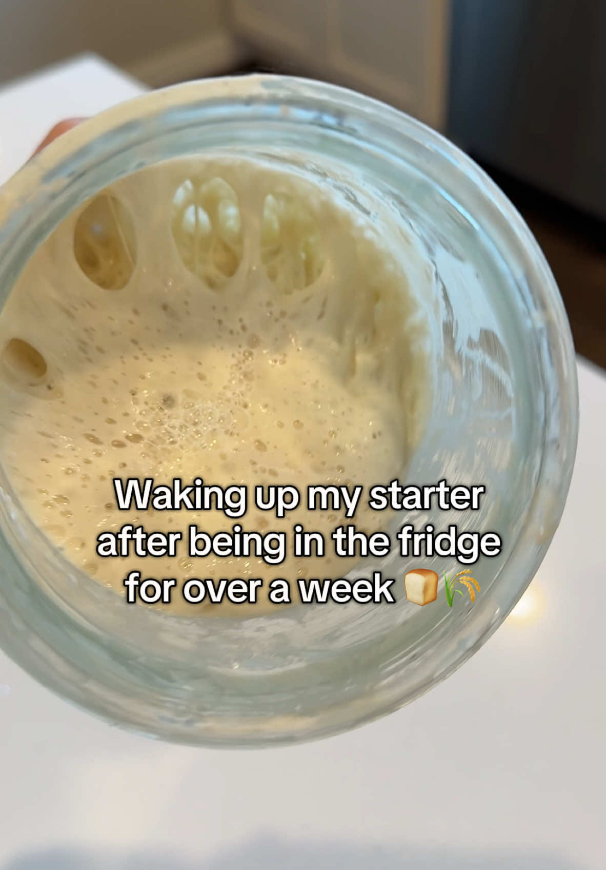 Bringing my sourdough starter, Jiggly Puff, back to life after a week of being in the fridge 🥰🍞 #sourdough #sourdoughbread #sourdoughstarter #sourdoughtok #easysourdough #fyp 