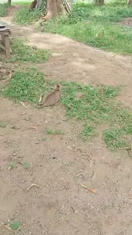 #fypシ゚ #fyppppppppppppppppppppppp Good morning everyone