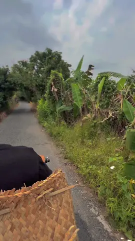 Đi một về hai ,emm ơiii…😊📌🐓🌾#Sumgàđiều✅🐓🌾 #gàđáđồngtháp #gàbông #gàchiến #gàđámiềntây #66đồngtháp #xuhuongtiktok 