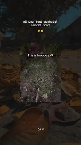 Part 19 | නෑනෙ කවුරුත් 😒 #ash_quo #fyppppppppppppppppppppppp #foryoupage #sinhalaquotes #whatsappstatus #srilankan_tik_tok🇱🇰 #1millionaudition 