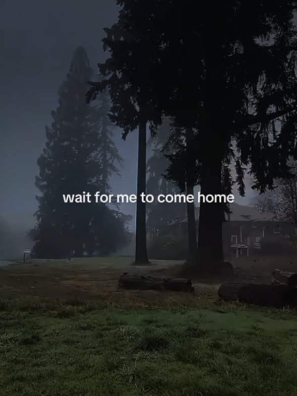 only words bleed. #edsheeran #photograph #lyrics #musicvibes #foryou #fyp 