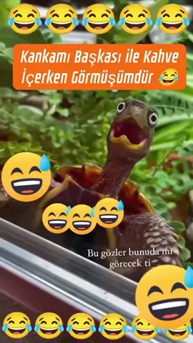 @sibel su ile #düet #komikvideolar #hayvanlarıkoruyalım🦮🐕 