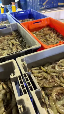 #paratii #emprendimiento #isuzu #dmax #luvdmax #trabajos #Motivacional 