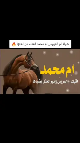 شيلة ام العروس ام محمد اهداء من اختها ام عامر#زفات_عرايس_بالأسم_شيلات_تخرج_زواج #شيله_استقبال_ترحيب_بالضيوف_رقص_حماس #زفات_عرايس_بالأسم_شيلات #وداعية_عروس 