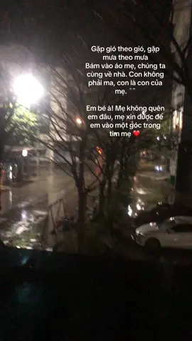 Gặp gió theo gió, gặp mưa theo mưa, bám vào tay áo mẹ, em và mẹ chúng ta cùng về nhà🖤