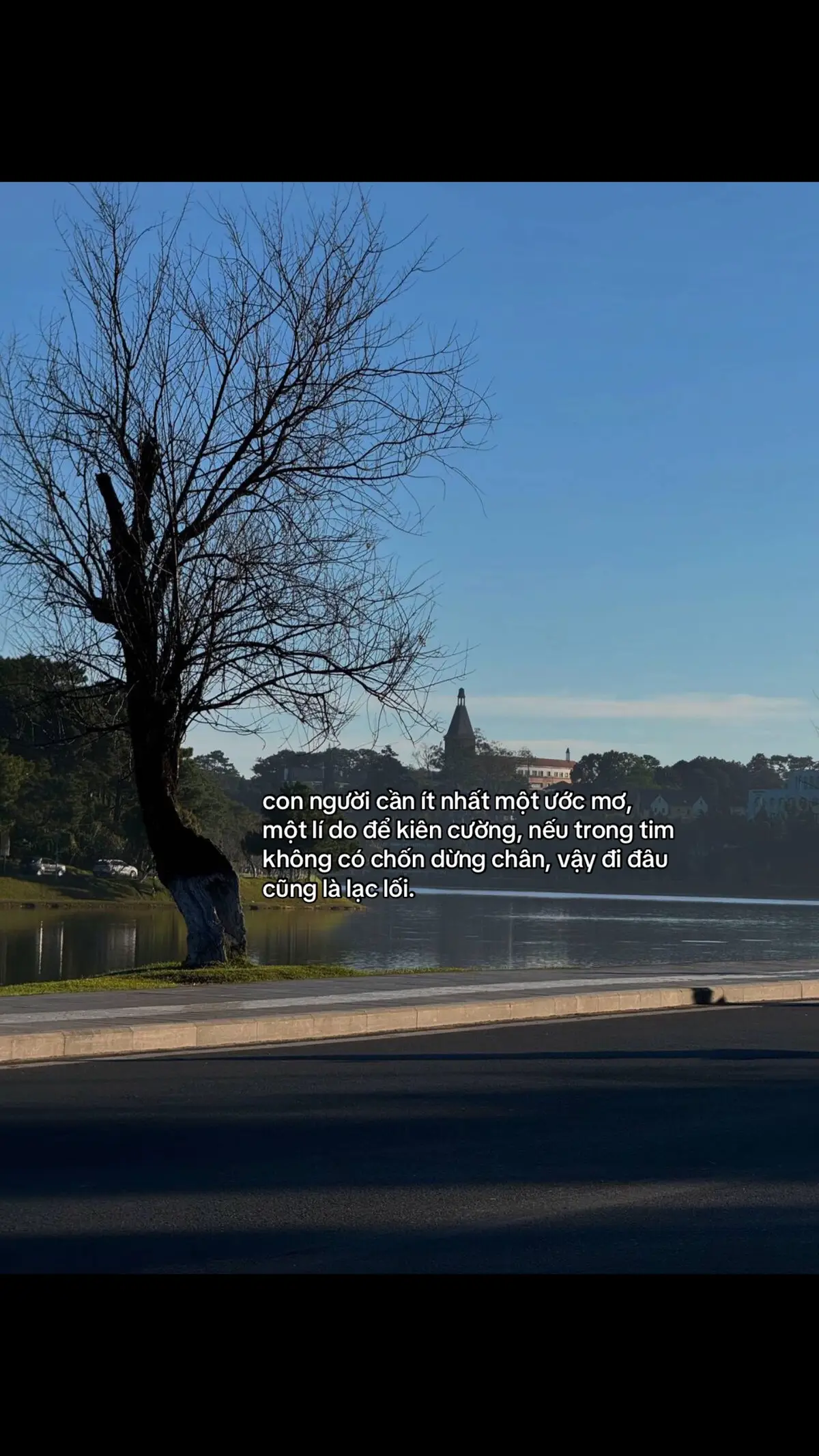 #tamtrang #viral #xuhuong #fyp 