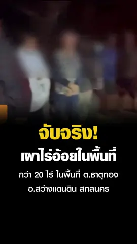 จับจริงเหตุเผาไร่อ้อยในพื้นที่ สกลนคร #อ้อย #อ้อยเผา #ชาวไร่อ้อย #ห้ามเผา #ฝุ่น #เกษตรกร