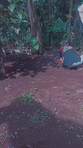 #CapCut 