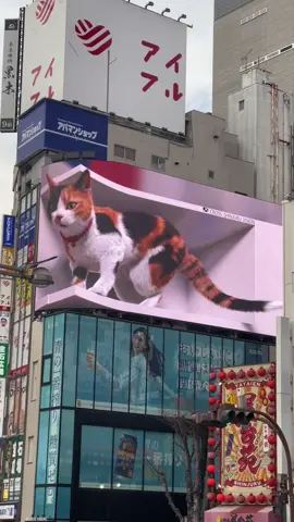 Yang lagi proses semangat pai #kenshuseijapan🇮🇩🇯🇵🎌 #kenshuuseijapan🇮🇩🇯🇵 #fyp #fypシ゚ #japan #tokyo 