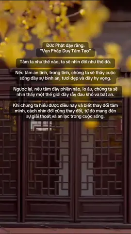 Vạn Pháp duy tâm tạo #phatphap #phatphapnhiemmau #tientutap #tutaptinhtan🙏🏻 #phatphapvadoisong #fyp 