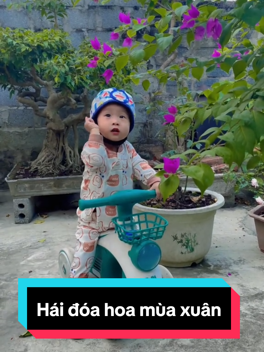Hái đóa hoa mùa xuân #trend #haitrieu #baby #bebap #tet2025 #lunarnewyear #tet 