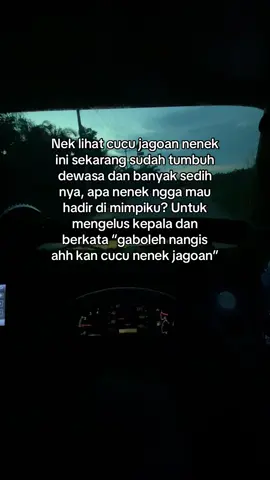 Tentang nenek dan cucu laki laki nya🥀#berandatiktok #storytime #fy #rindunenek #nenekkupahalawananku #fyp @ini(Alex) 