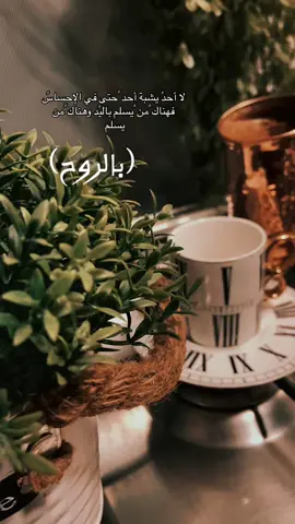 #🎻♥ 