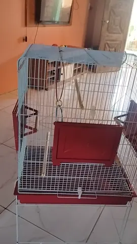 #gaiolascalopsita  #calopsitachallenge #calopsitaporamor #amocalopsita #amocalopsitas #calopsitasnotiktok  site: https://www.mercadolivre.com.br/viveiro-passaros-calopsita-confort-triplex-jel-plast-pet-piu-cor-vermelho/p/MLB28207026