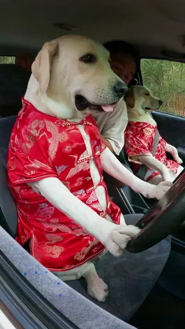 สวัสดีวันตรุษจีนครับ . . .